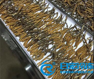 ��ˎ�ă��əC