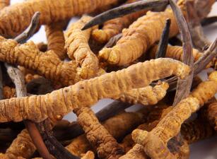 ���x�Ĳ�������γɵģ�