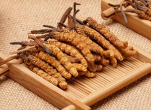 �����t����ο������x�Ĳݵģ�