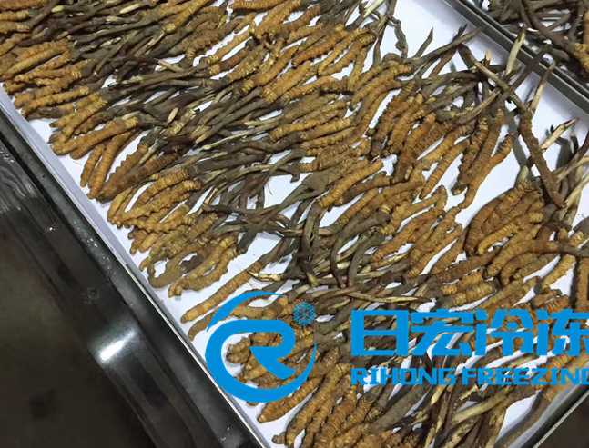 ���x�Ĳ݃��əC���ɵĶ��x�Ĳ��c��Ȼ��ɵĲ�֮ͬ̎