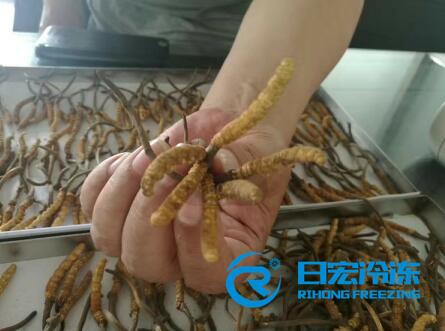 �ֵ��x�ݼ������x�Ĳ݃��əC�����È���