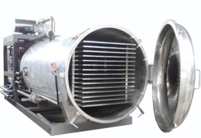 ���߃��əC���g�������˽��